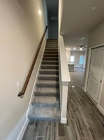 29550251