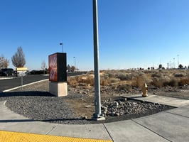 29551118