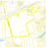 29551257