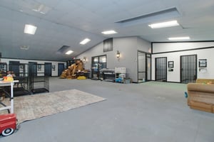 29551546