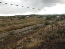 29552446