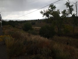 29643016