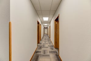 29552663