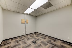 29552603