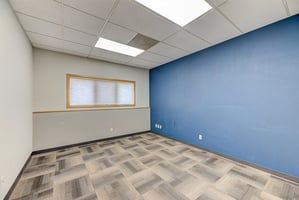 29552618