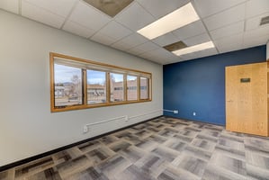 29552662