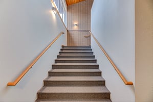 29552616