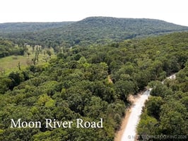 29553158