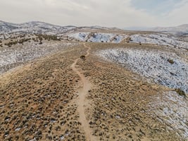 29553536
