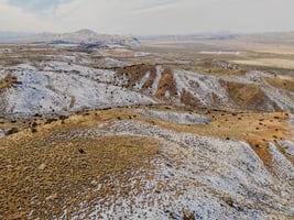 29553537