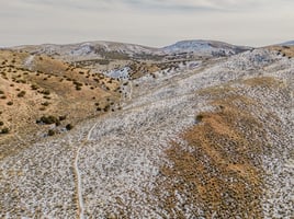 29553530