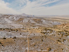 29553532