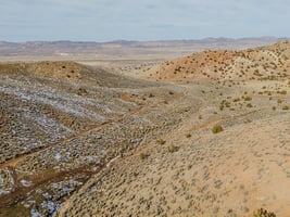 29553502