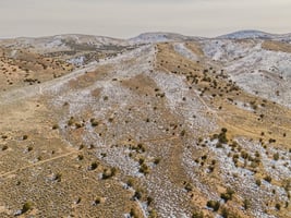 29553529
