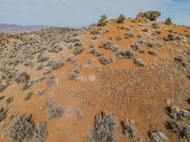 29553519