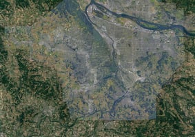 29553683