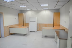 29554354