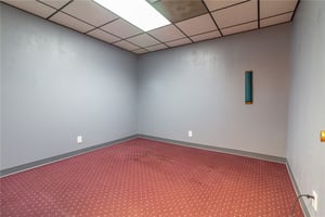 29555320