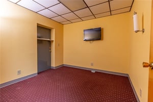29555319