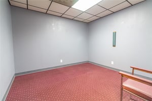 29555318