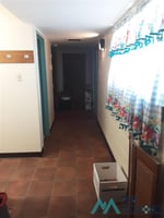 29556089