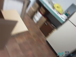 29556090