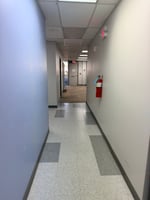 29557463