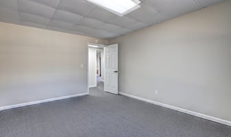 29679613