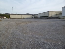 29557768
