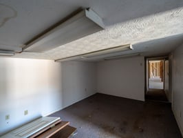 29557590