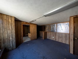 29557584