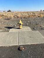 29557616
