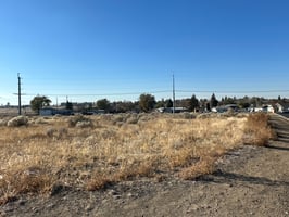 29557629
