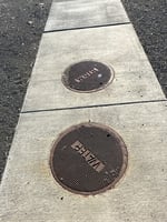 29557614