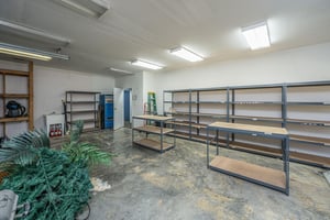 29558907