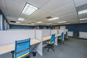 29558905