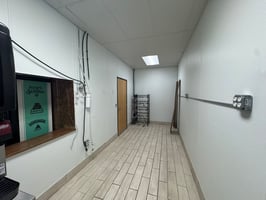29559433