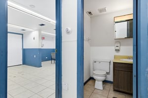 29560661