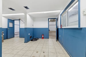 29560658