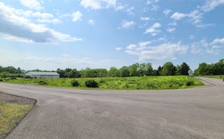 29561040