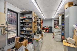 29561159