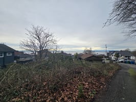 29562156