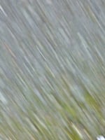29562170