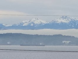 29562163