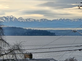 29562154