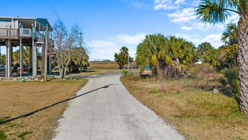 29562291