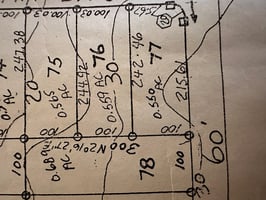 29562296