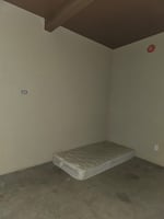 29562420
