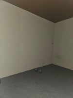29562421