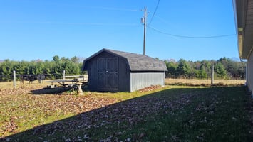 29562482